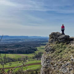 25-03-21 12-16-19 2481